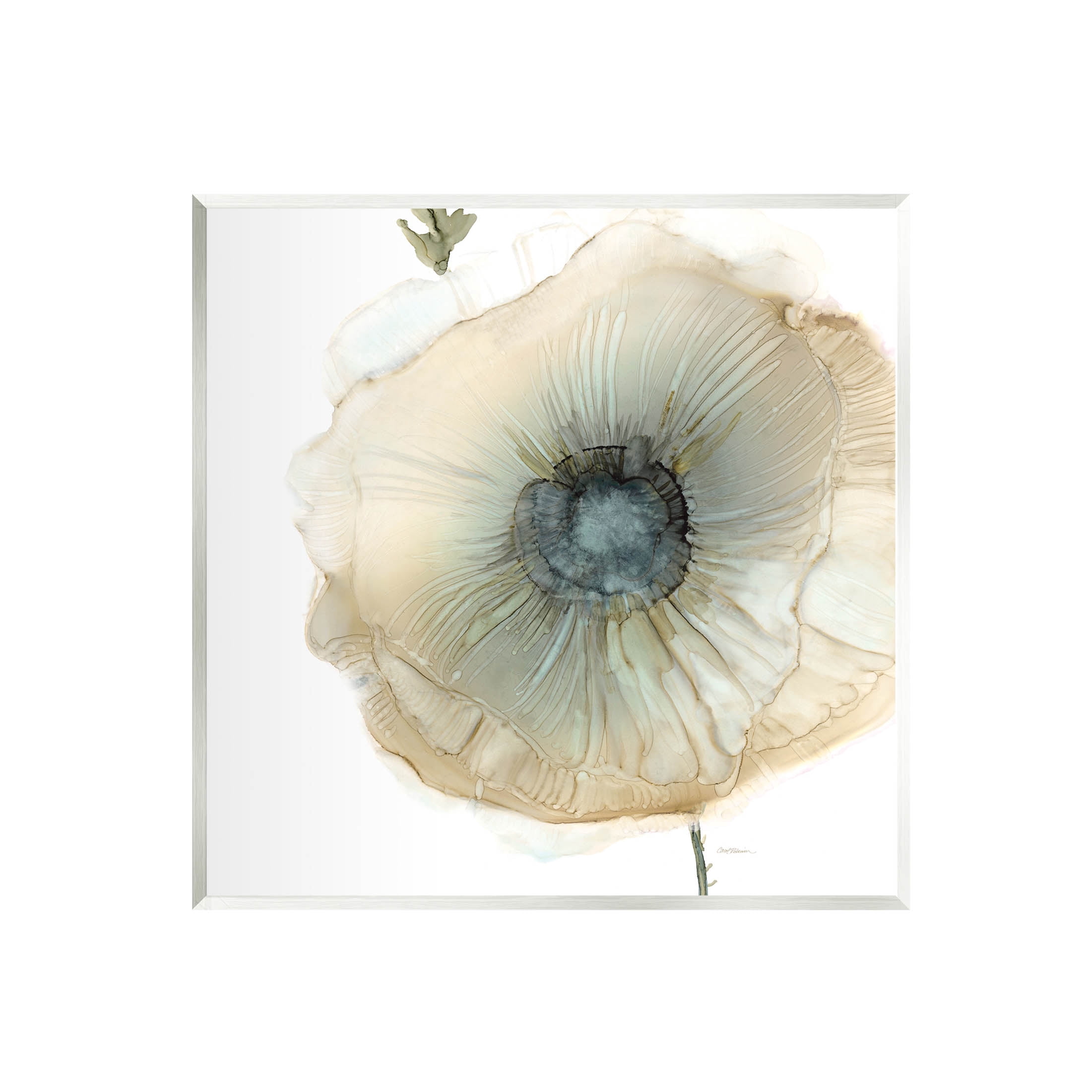 Stupell Industries Contemporary Flower Petal Poppy Blossom Graphic Art Unframed Art Print Wall Art, Design by Carol Robinson