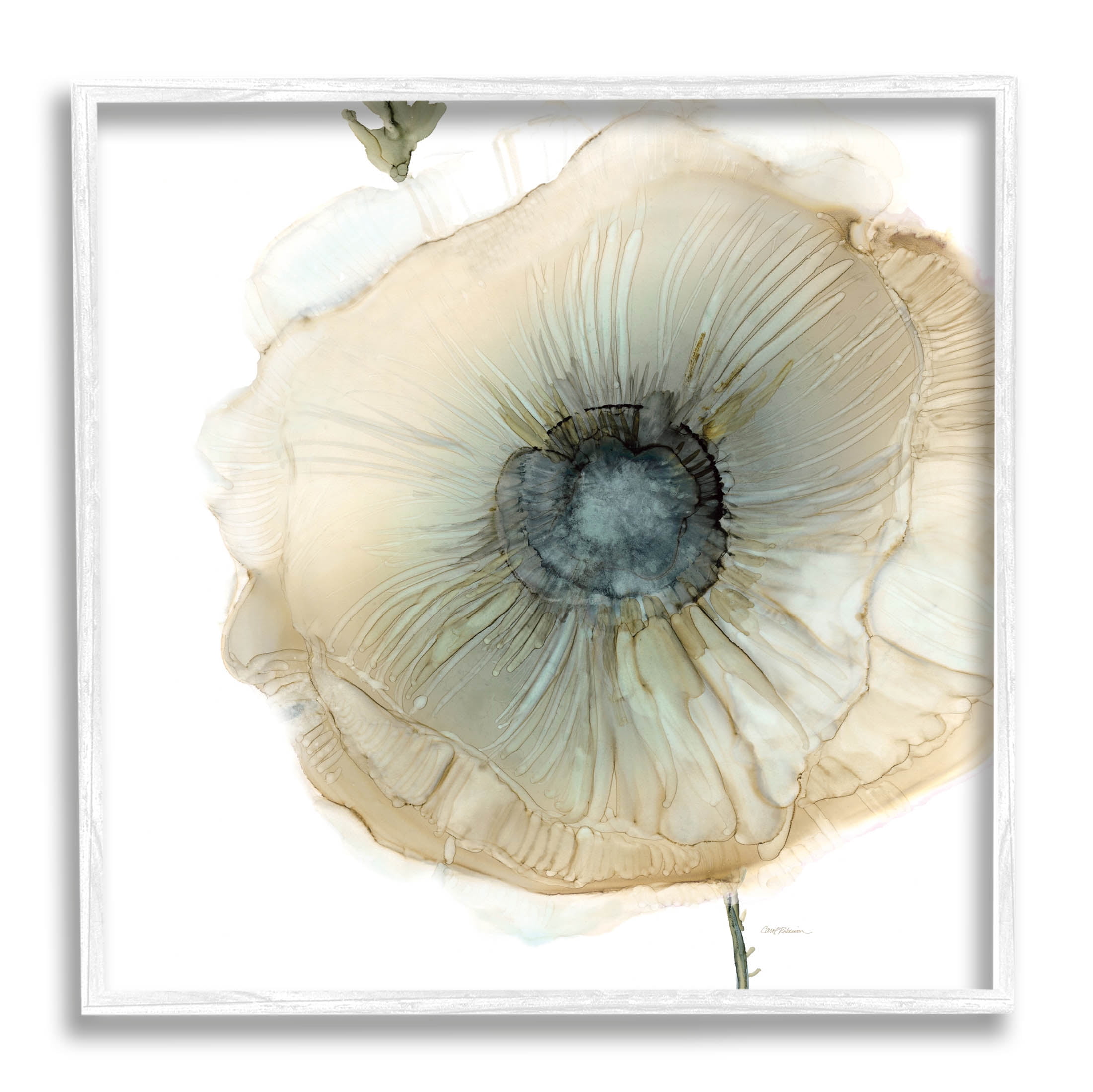 Stupell Industries Contemporary Flower Petal Poppy Blossom Graphic Art White Framed Art Print Wall Art, Design by Carol Robinson