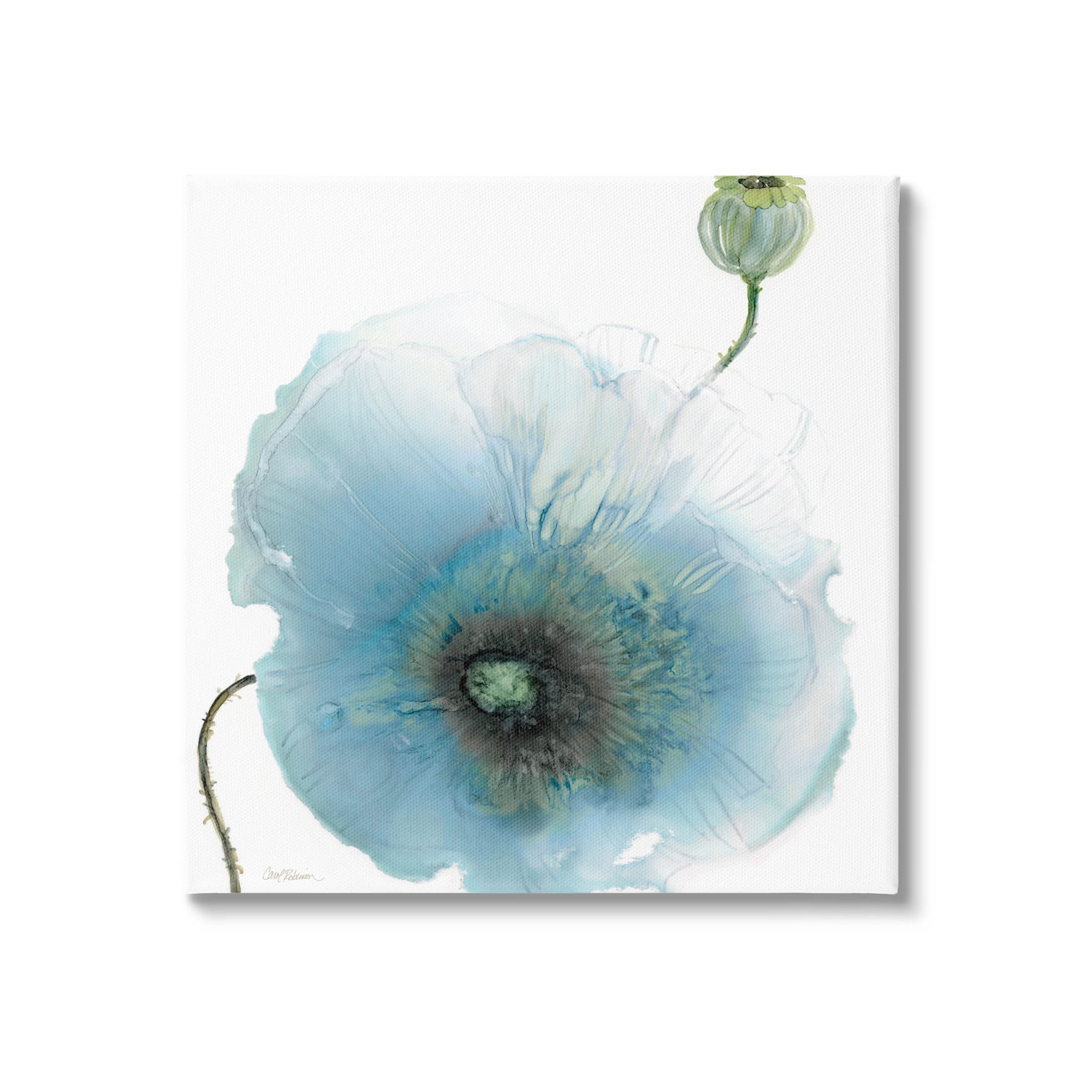 Stupell Industries Contemporary Flower Petal Shape Graphic Art Gallery Wrapped Canvas Print Wall Art, Design by Carol Robinson