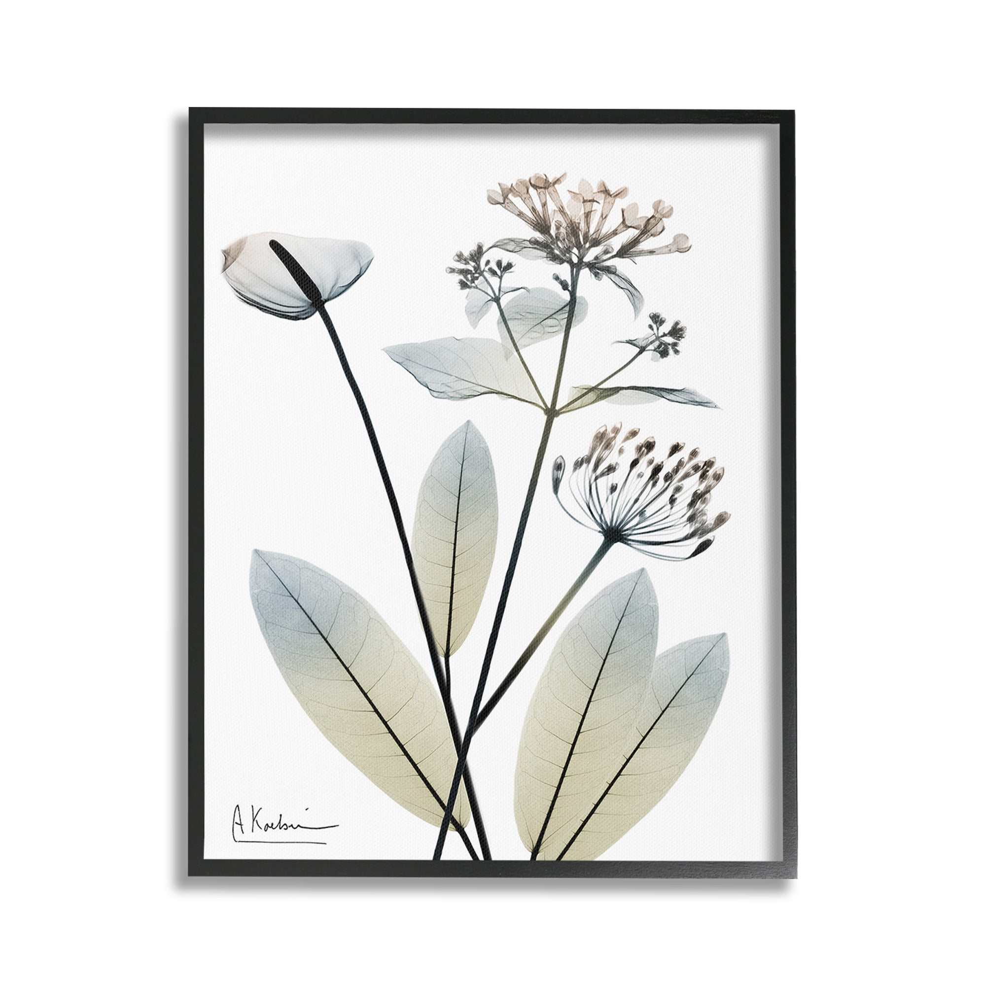 Stupell Industries Contemporary Flower Shapes Botanical & Floral Photography Black Framed Art Print Wall Art, 24 x 30