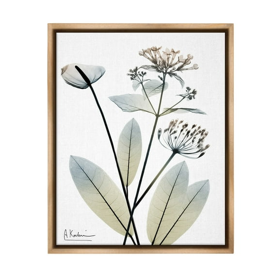 Stupell Industries Contemporary Flower Shapes Botanical & Floral Photography Brown Floater Framed Canvas Art Print Wall Art, 25 x 31