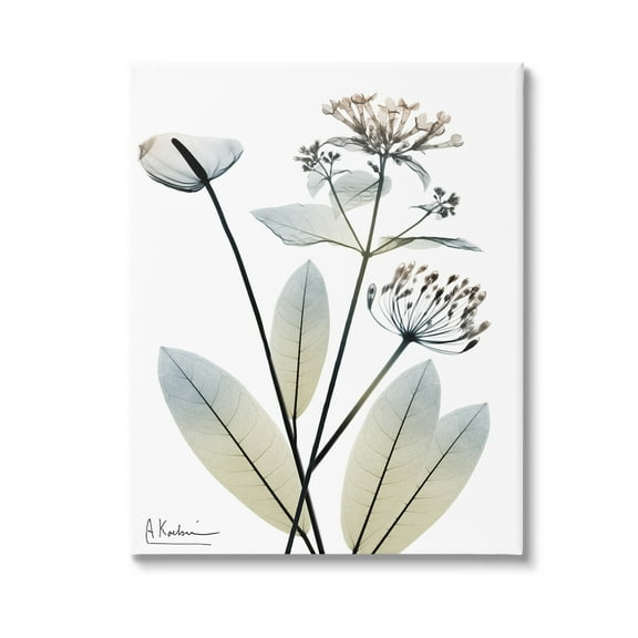 Stupell Industries Contemporary Flower Shapes Botanical & Floral Photography Gallery Wrapped Canvas Art Print Wall Art, 16 x 20