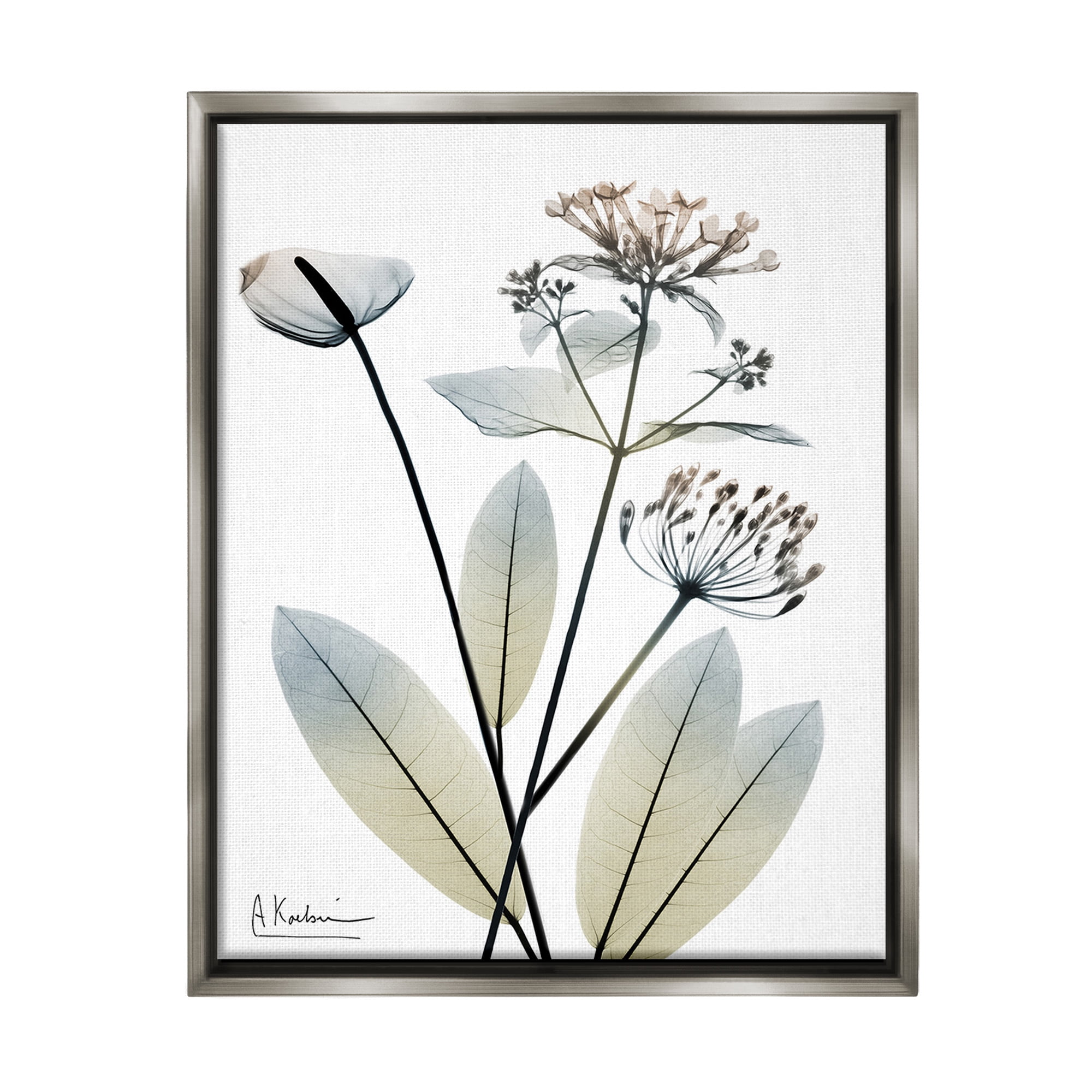 Stupell Industries Contemporary Flower Shapes Botanical & Floral Photography Gray Floater Framed Canvas Art Print Wall Art, 17 x 21