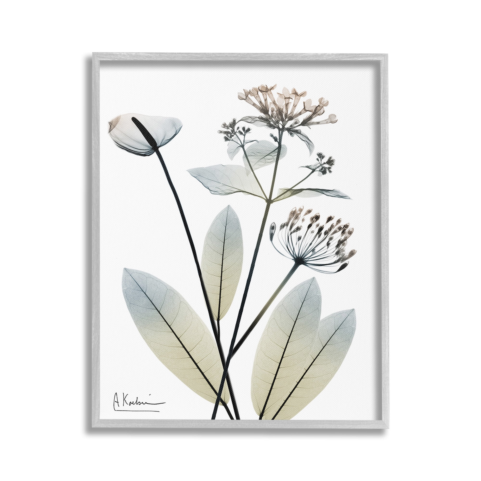 Stupell Industries Contemporary Flower Shapes Botanical & Floral Photography Gray Framed Art Print Wall Art, 16 x 20