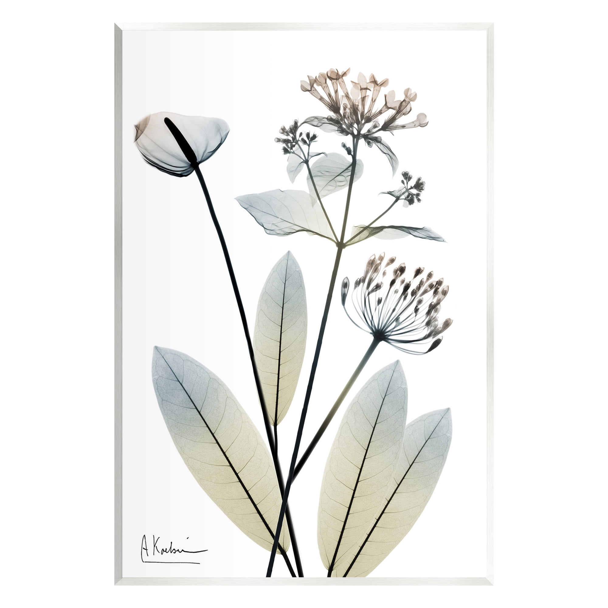 Stupell Industries Contemporary Flower Shapes Botanical & Floral Photography Unframed Art Print Wall Art, 10 x 15