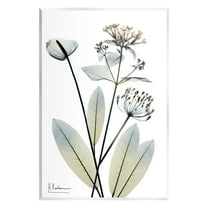 Stupell Industries Contemporary Flower Shapes Botanical & Floral Photography Unframed Art Print Wall Art, 10 x 15