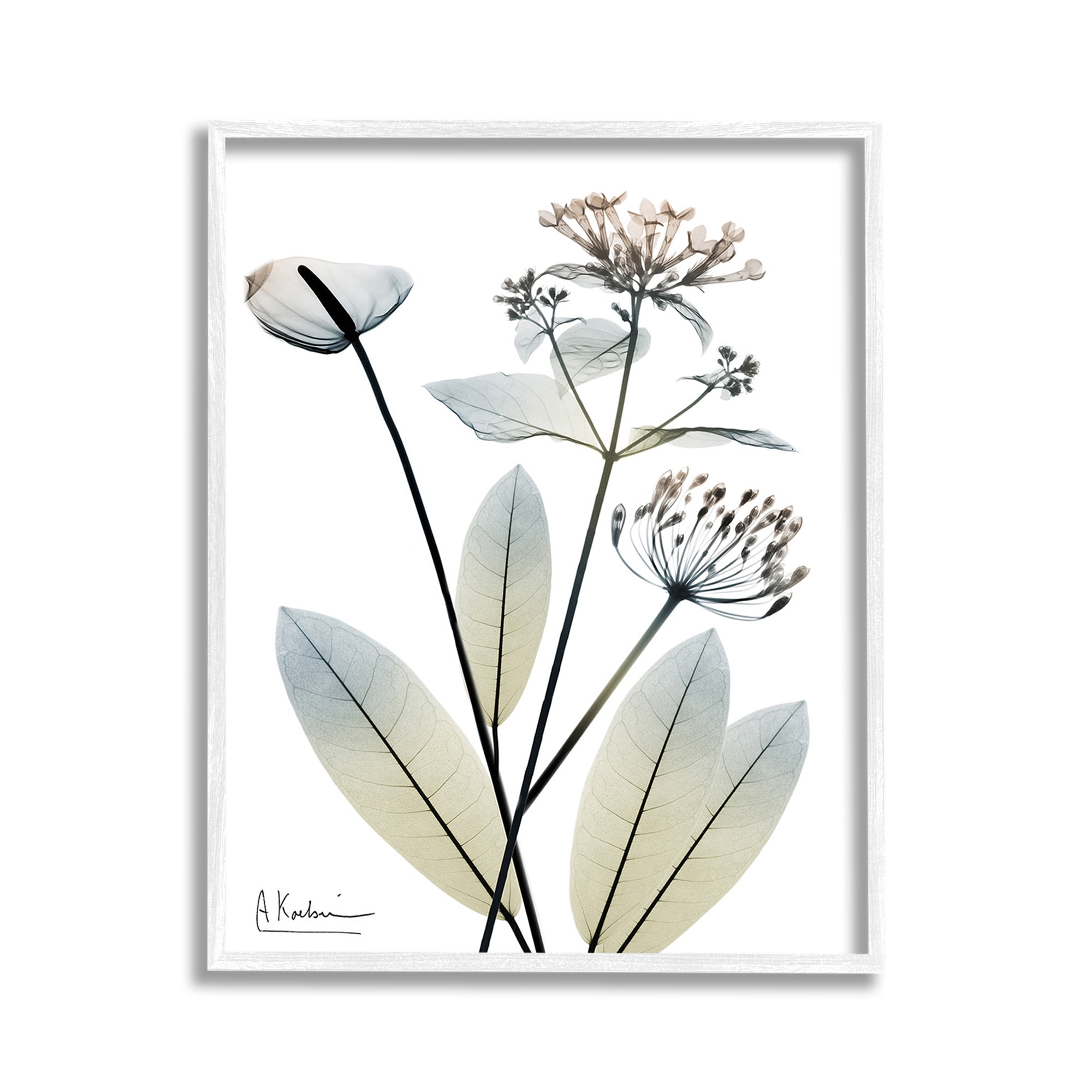 Stupell Industries Contemporary Flower Shapes Botanical & Floral Photography White Framed Art Print Wall Art, 11 x 14