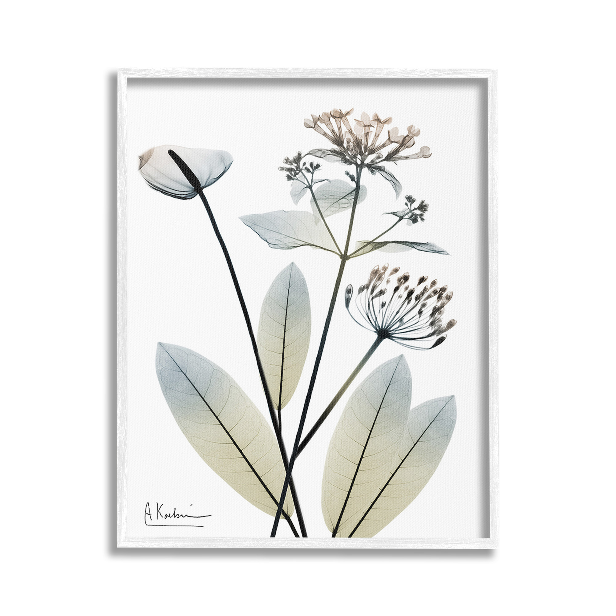 Stupell Industries Contemporary Flower Shapes Botanical & Floral Photography White Framed Art Print Wall Art, 24 x 30