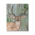 thumbnail image 1 of Stupell Industries Contemporary Forest Buck Portrait Rustic Large Antlers, 16 x 20, Design by Annie Warren&nbsp;, 1 of 6