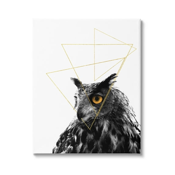 Stupell Industries Contemporary Geometric Owl Shapes Graphic Art Gallery Wrapped Canvas Print Wall Art, Design by K. Kaufman