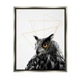 thumbnail image 1 of Stupell Industries Contemporary Geometric Owl Shapes Graphic Art Luster Gray Floating Framed Canvas Print Wall Art, Design by K. Kaufman, 1 of 8