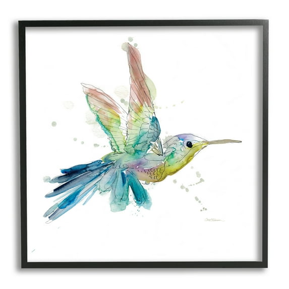 Stupell Industries Contemporary Hummingbird Animal Minimal Rainbow Watercolor Modern Painting Black Framed Art Print Wall Art, 12 x 12, Design by Carol Robinson