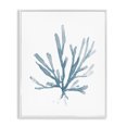 thumbnail image 1 of Stupell Industries Contemporary Minimal Coral Tendrils White Framed Giclee Art, 16 x 20, by Carol Robinson, 1 of 7