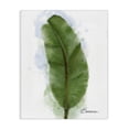 thumbnail image 1 of Stupell Industries Contemporary Modern Banana Plant Leaf Canvas Art, 24 x 30, by Matthew Piotrowicz, 1 of 7