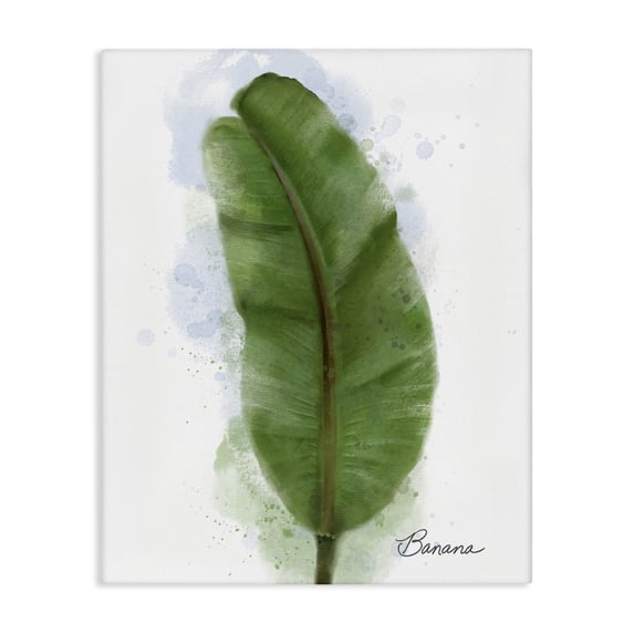 Stupell Industries Contemporary Modern Banana Plant Leaf Canvas Art, 24 x 30, by Matthew Piotrowicz