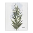 thumbnail image 1 of Stupell Industries Contemporary Modern Date Palm Leaf Canvas Art, 16 x 20, by Matthew Piotrowicz, 1 of 7