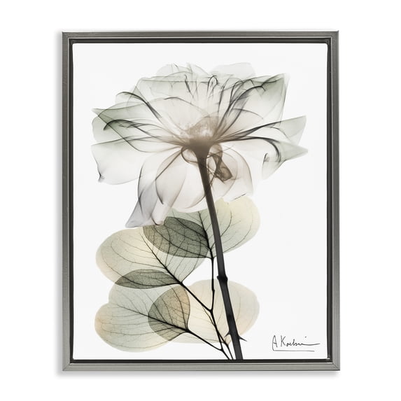 Stupell Industries Contemporary Modern Minimalist Buds Gray Floating Frame Canvas Art, 17 x 21, by Albert Koetsier