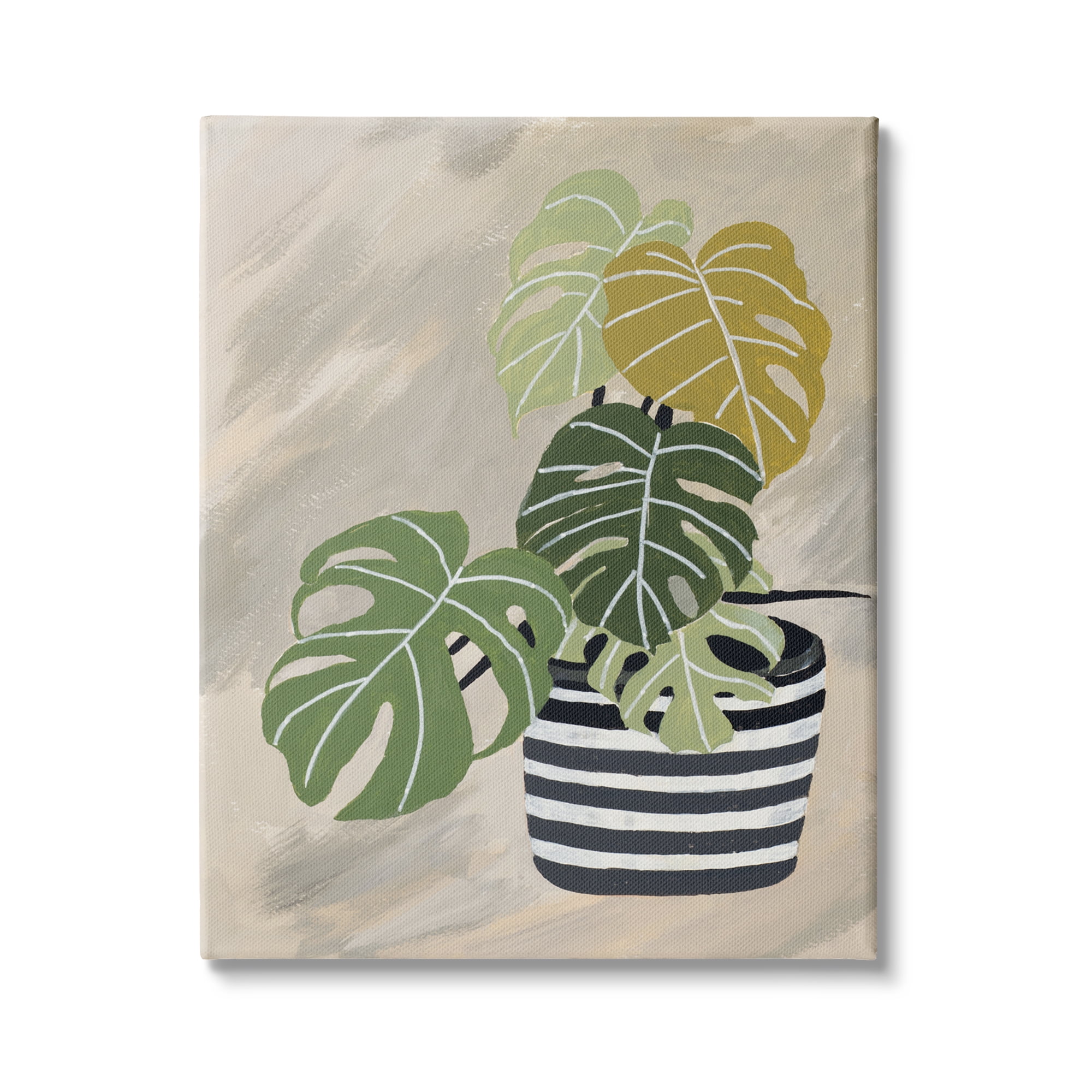 Stupell Industries Contemporary Monstera Plant Still Life Black Stripe Planter, 24 x 30, Design by Patricia Pinto