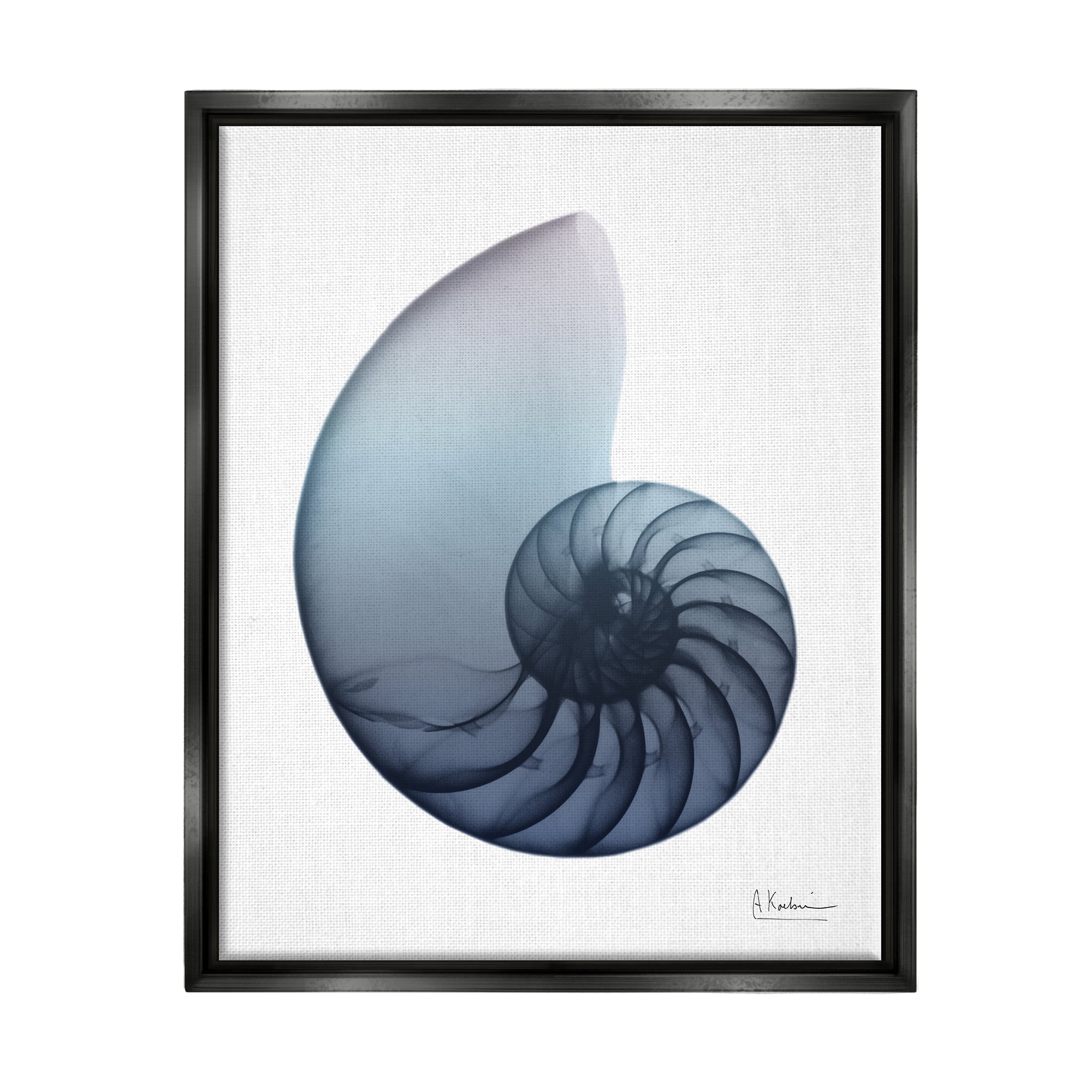 Stupell Industries Contemporary Nautilus Shell Abstract Photography Black Floater Framed Art Print Wall Art, 25 x 31