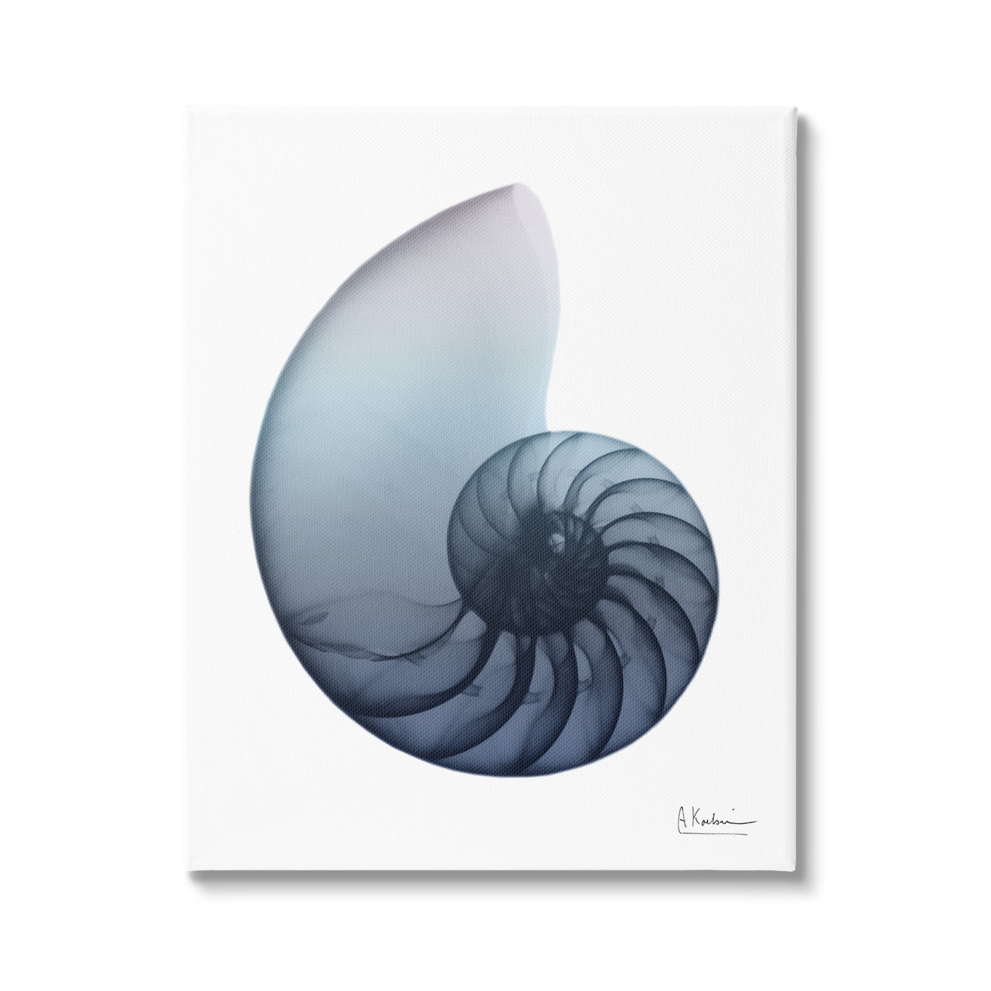 16'' x 20'' Blue Nautilus Shell Abstract Canvas Print