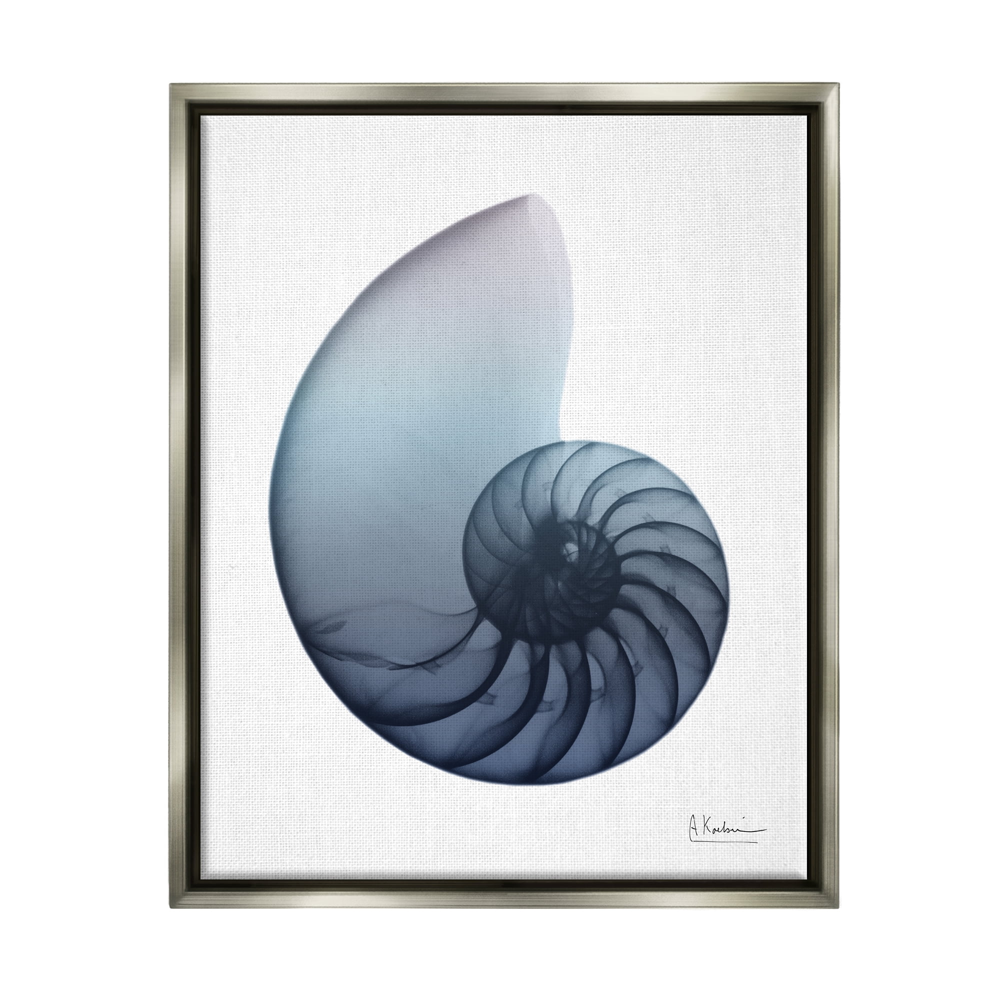 Stupell Industries Contemporary Nautilus Shell Abstract Photography Gray Floater Framed Art Print Wall Art, 25 x 31
