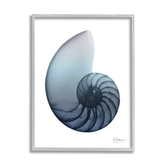 Stupell Industries Contemporary Nautilus Shell Abstract Photography Gray Framed Art Print Wall Art, 24 x 30