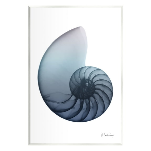 Stupell Industries Contemporary Nautilus Shell Abstract Photography Unframed Art Print Wall Art, 13 x 19