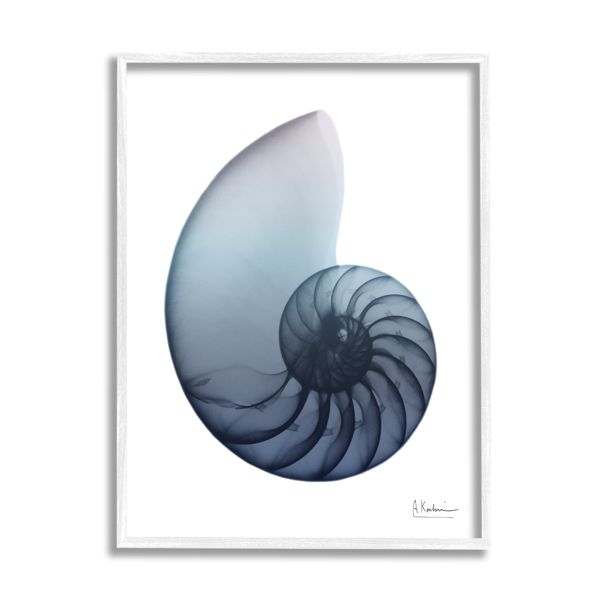 Stupell Industries Contemporary Nautilus Shell Abstract Photography White Framed Art Print Wall Art, 24 x 30
