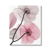 Stupell Industries Contemporary Pink Poppies Botanical & Floral Painting Gallery Wrapped Canvas Print Wall Art, 16 x 20