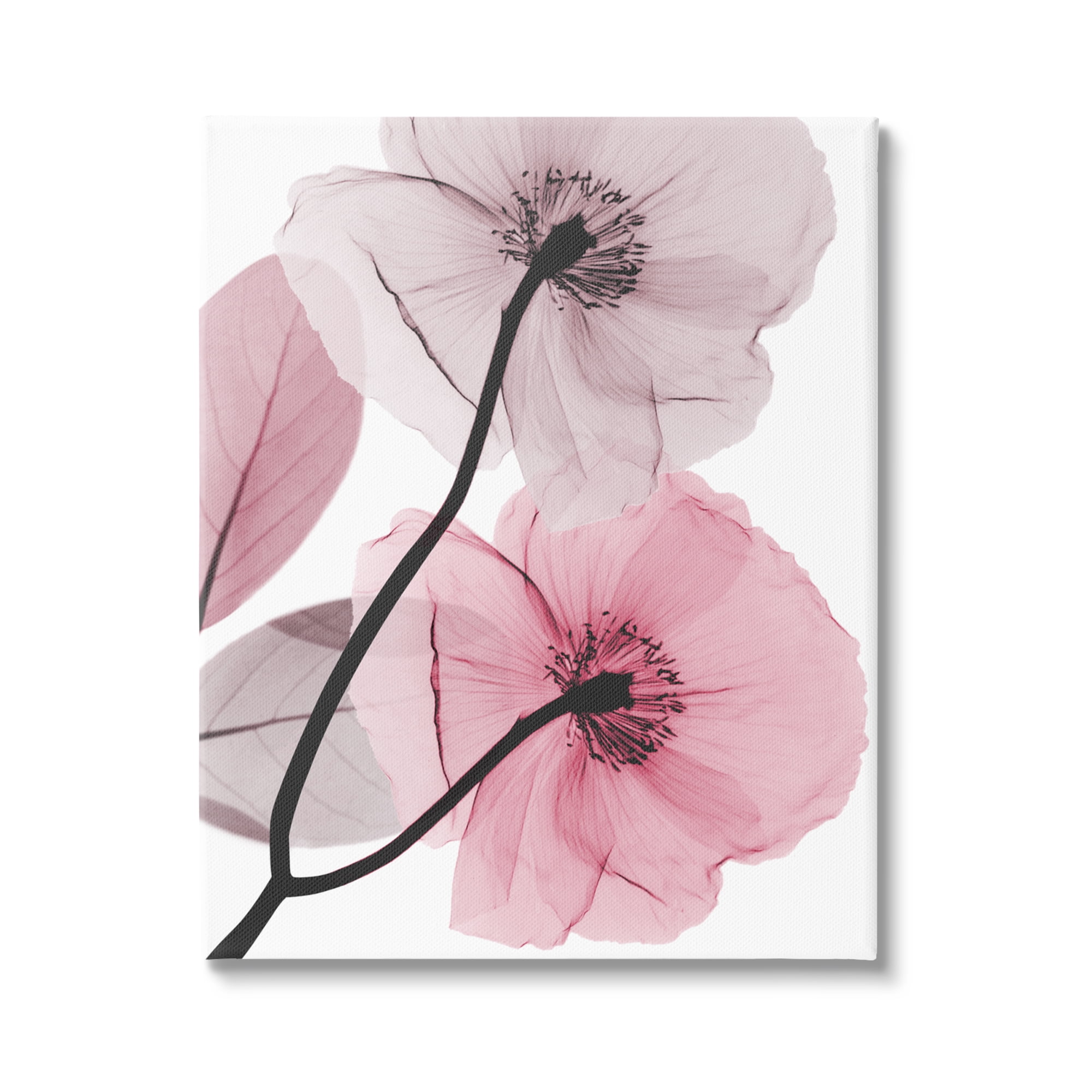 Stupell Industries Contemporary Pink Poppies Botanical & Floral Painting Gallery Wrapped Canvas Print Wall Art, 36 x 48