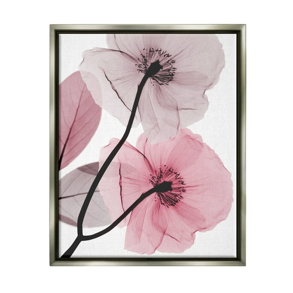 Stupell Industries Contemporary Pink Poppies Botanical & Floral Painting Gray Floater Framed Art Print Wall Art, 17 x 21