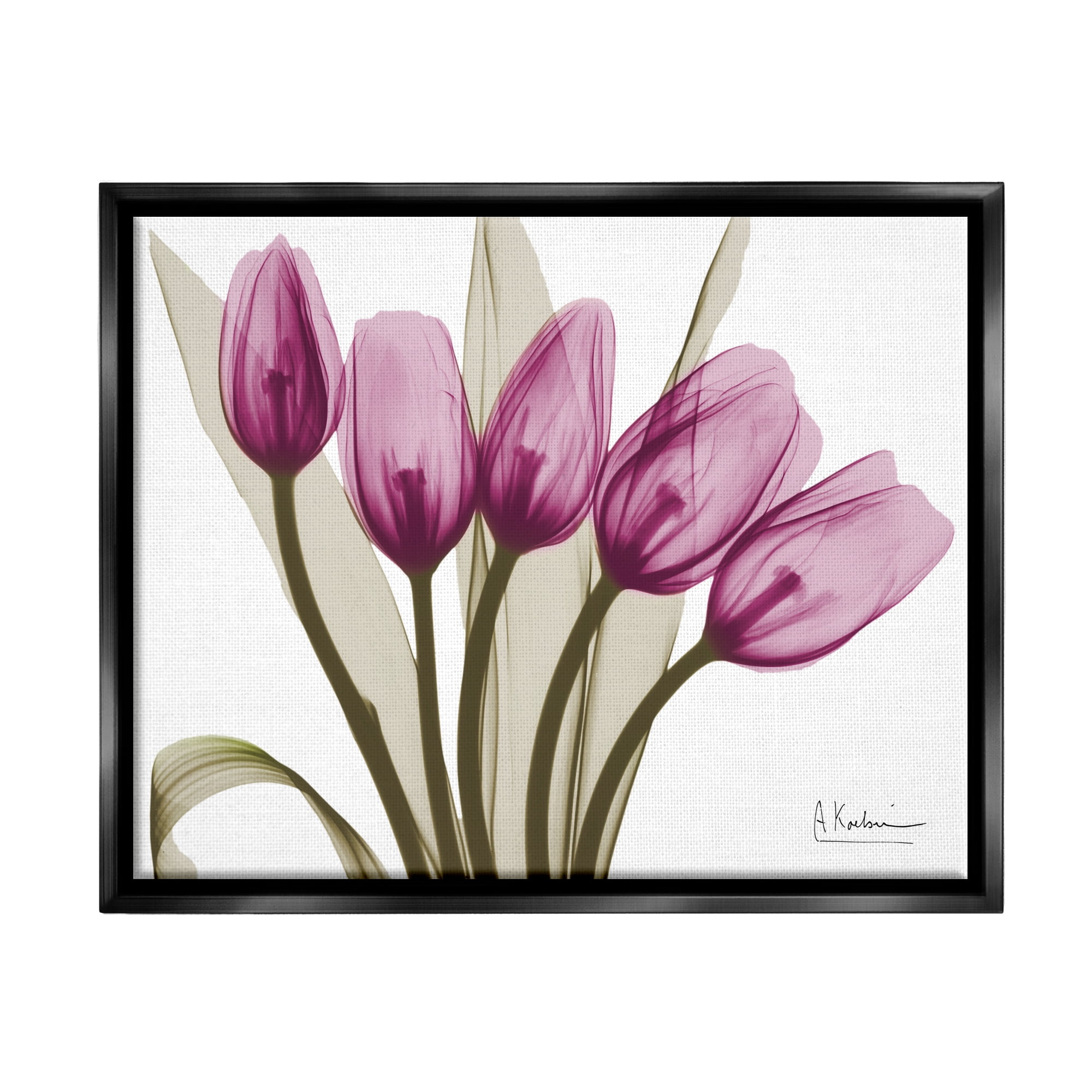 Stupell Industries Contemporary Pink Tulips Botanical & Floral Photography Black Floater Framed Art Print Wall Art, 21 x 17
