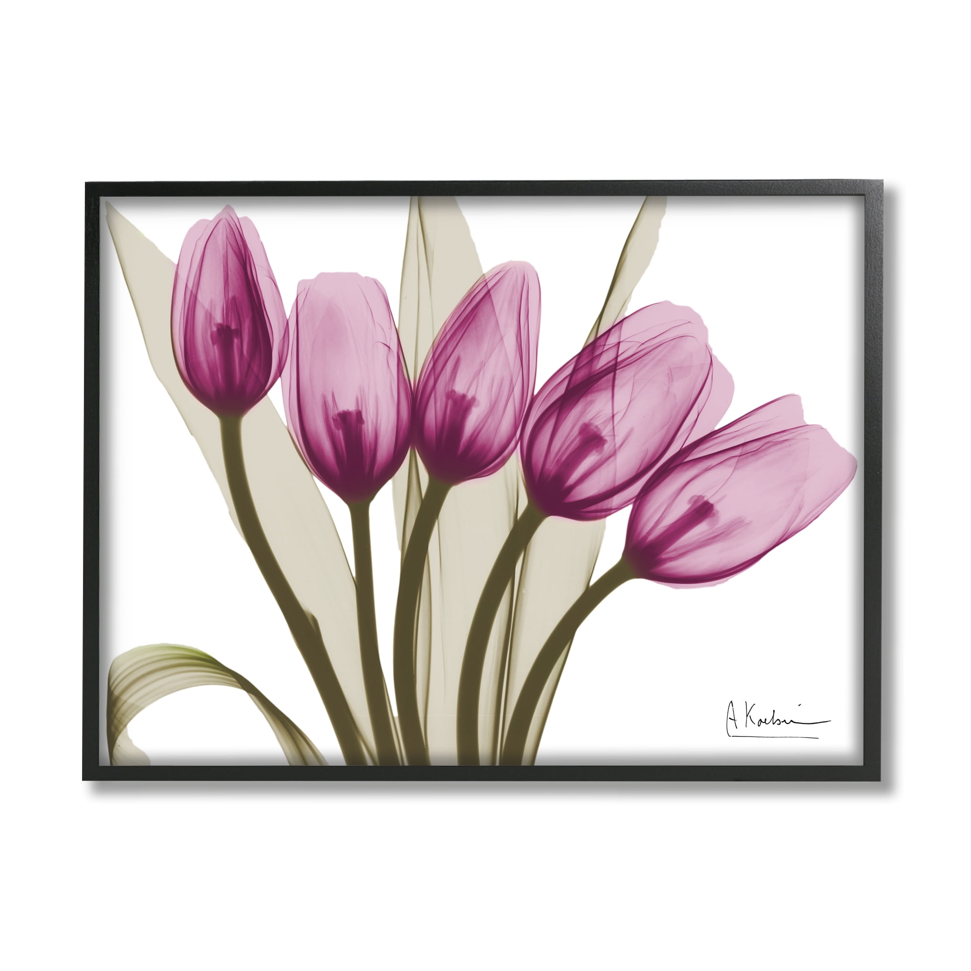 Stupell Industries Contemporary Pink Tulips Botanical & Floral Photography Black Framed Art Print Wall Art, 20 x 16