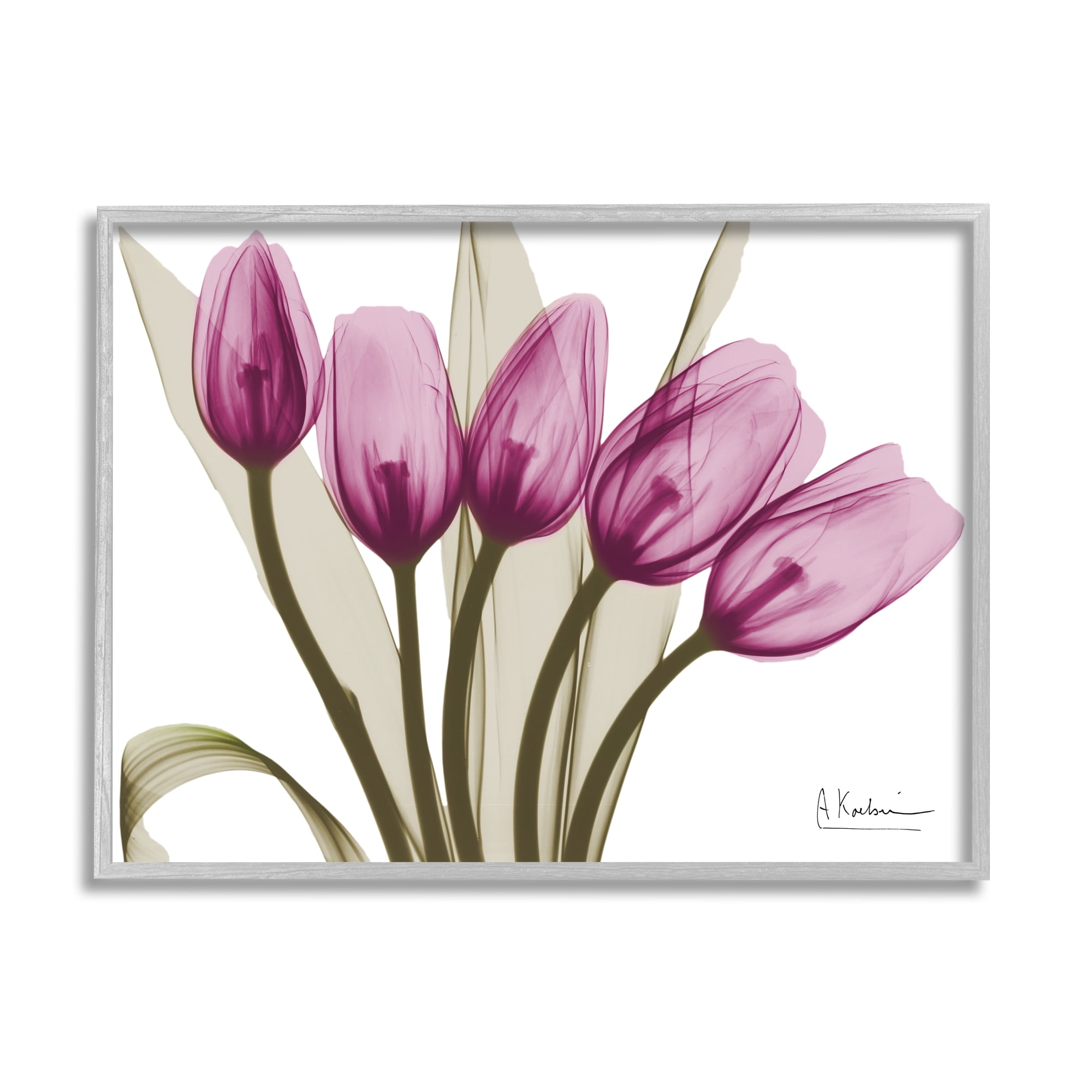 Stupell Industries Contemporary Pink Tulips Botanical & Floral Photography Gray Framed Art Print Wall Art, 20 x 16