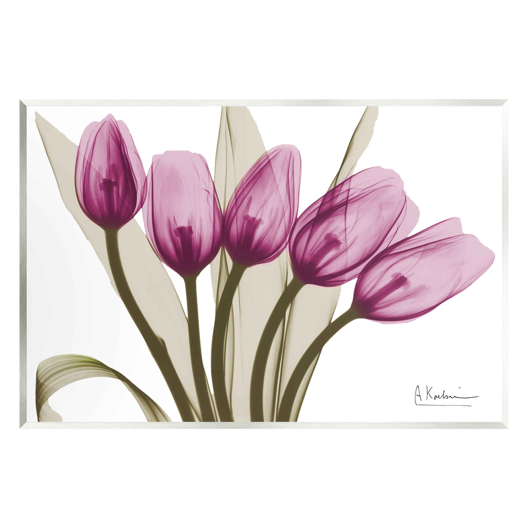 Stupell Industries Contemporary Pink Tulips Botanical & Floral Photography Unframed Art Print Wall Art, 19 x 13