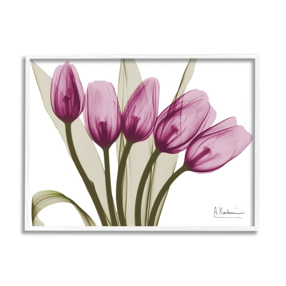 Stupell Industries Contemporary Pink Tulips Botanical & Floral Photography White Framed Art Print Wall Art, 20 x 16