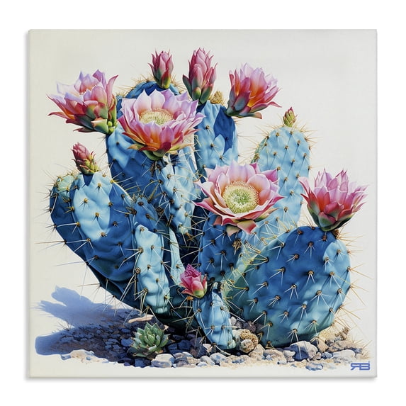 Stupell Industries Contemporary Prickly Cactus Blossoms Canvas Art, 36 x 36, by RB