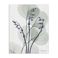thumbnail image 1 of Stupell Industries Contemporary Serene Modern Eucalyptus Canvas Art, 30 x 40, by Albert Koetsier, 1 of 7