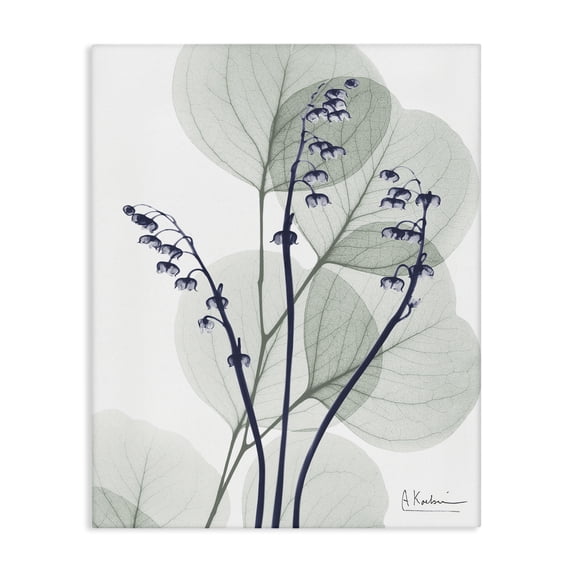 Stupell Industries Contemporary Serene Modern Eucalyptus Canvas Art, 30 x 40, by Albert Koetsier