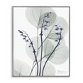 thumbnail image 1 of Stupell Industries Contemporary Serene Modern Eucalyptus Gray Framed Giclee Art, 16 x 20, by Albert Koetsier, 1 of 7