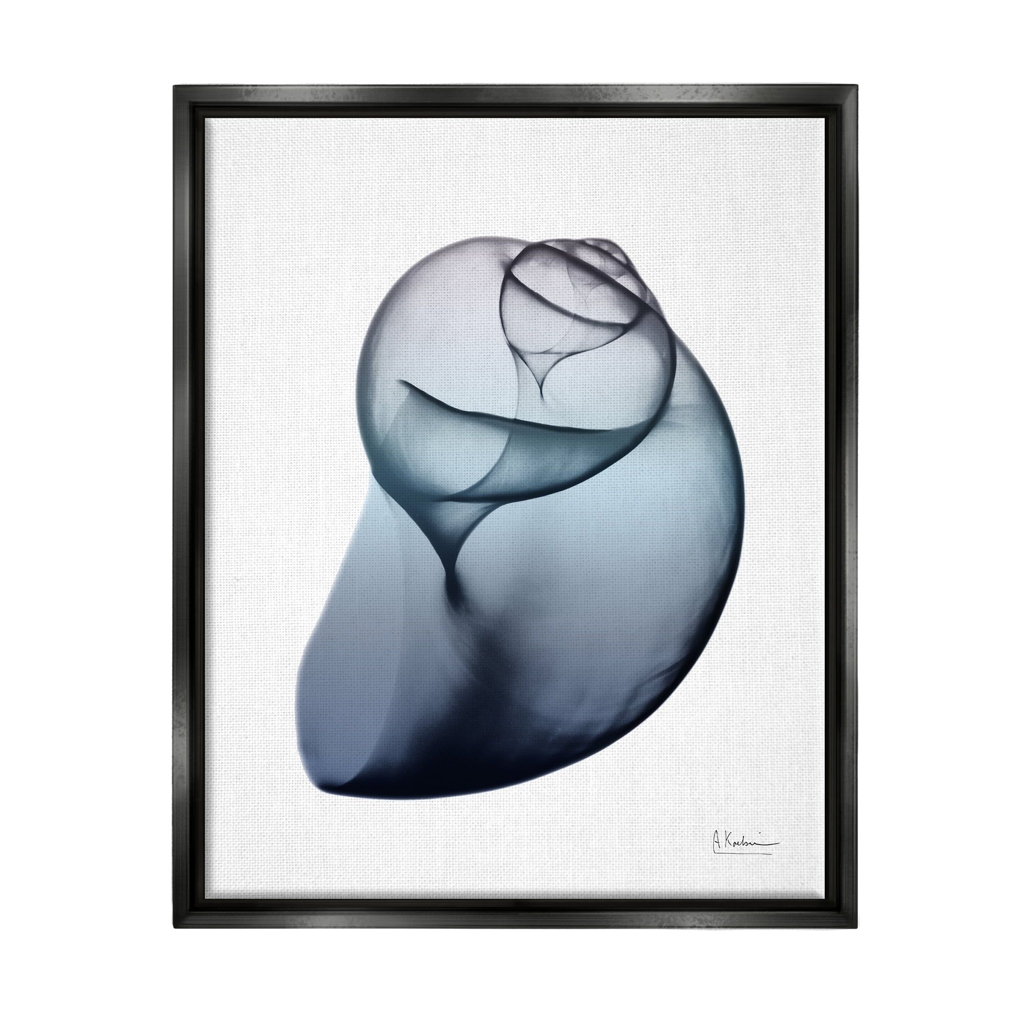 Stupell Industries Contemporary Snail Shell Abstract Photography Black Floater Framed Art Print Wall Art, 25 x 31