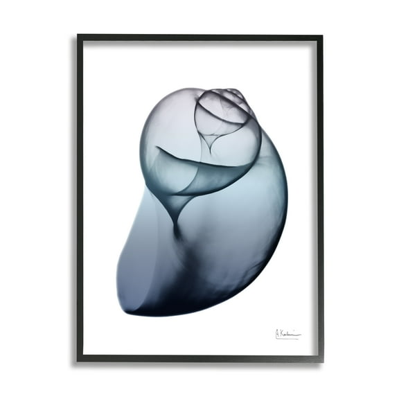 Stupell Industries Contemporary Snail Shell Abstract Photography Black Framed Art Print Wall Art, 11 x 14