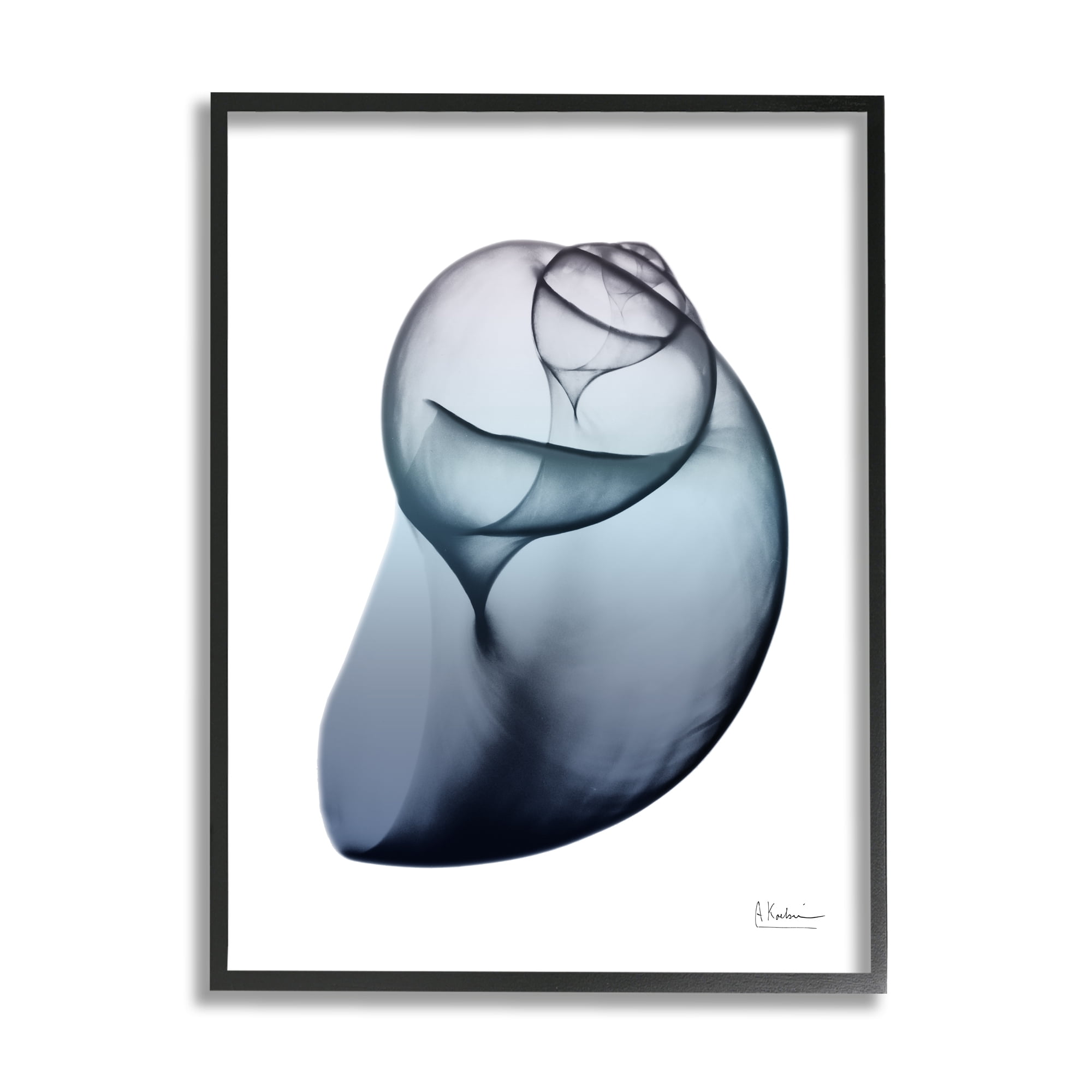 Stupell Industries Contemporary Snail Shell Abstract Photography Black Framed Art Print Wall Art, 24 x 30