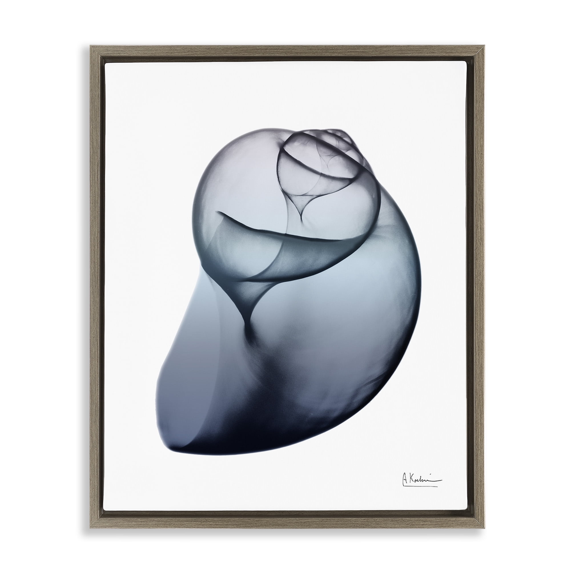 Stupell Industries Contemporary Snail Shell Abstract Photography Brown Floater Framed Canvas Art Print Wall Art, 25 x 31