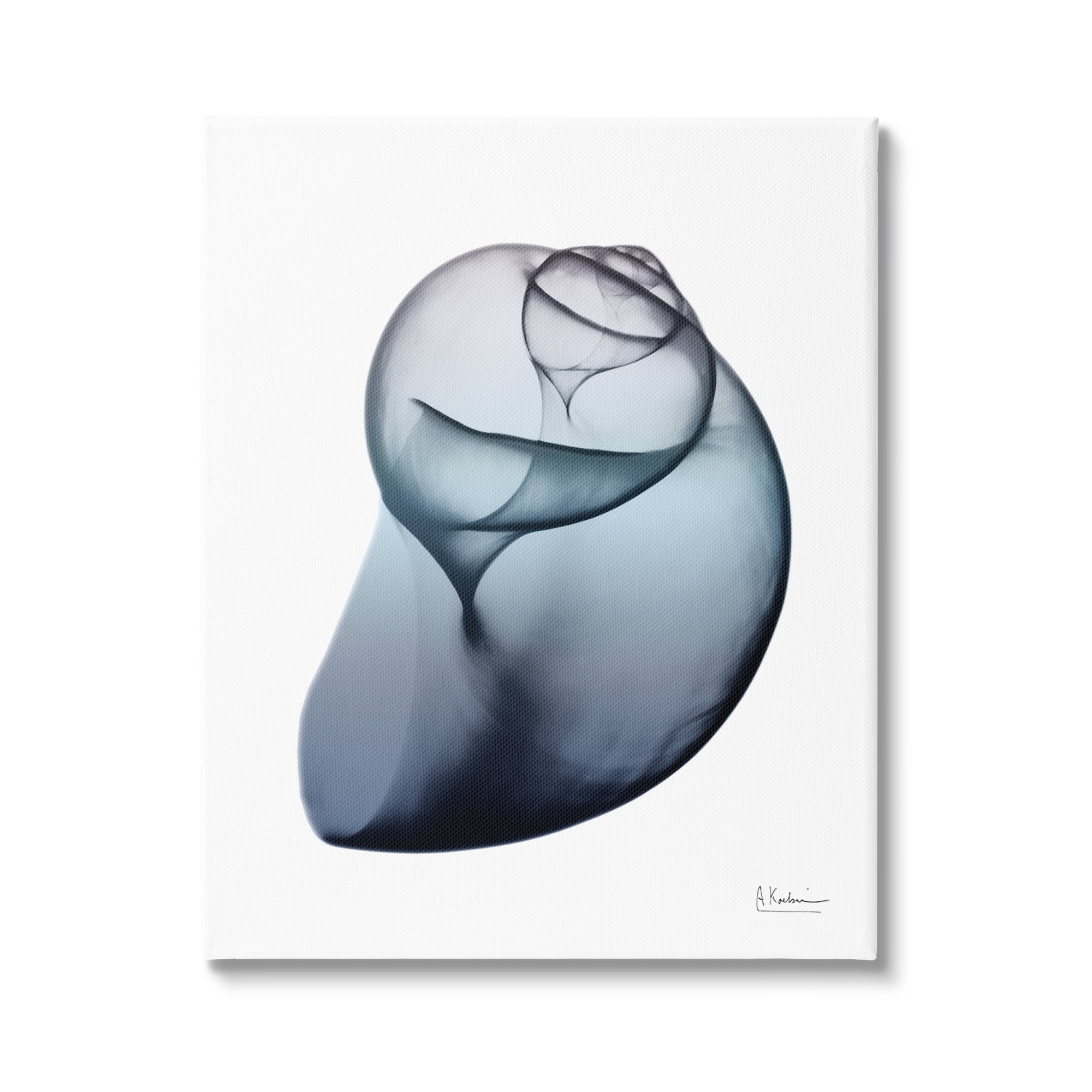 Stupell Industries Contemporary Snail Shell Abstract Photography Gallery Wrapped Canvas Print Wall Art, 16 x 20