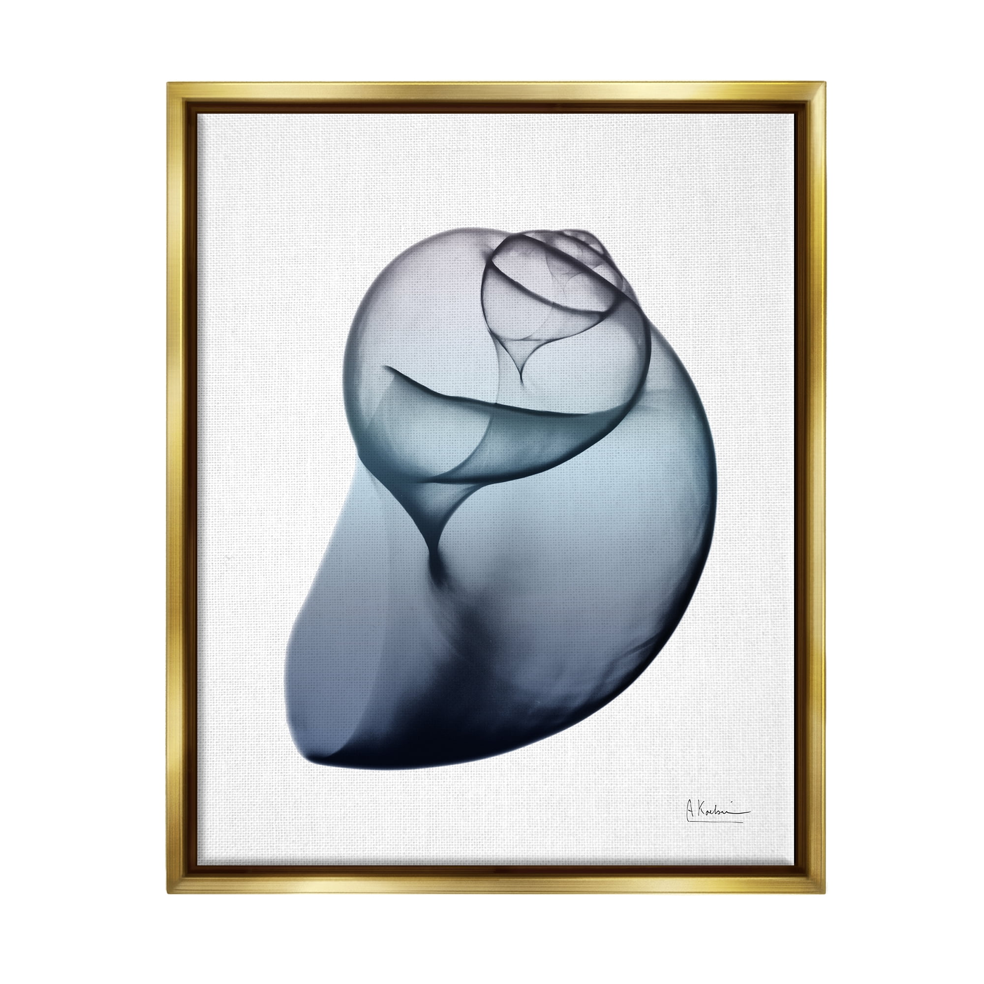 Stupell Industries Contemporary Snail Shell Abstract Photography Gold Floater Framed Art Print Wall Art, 17 x 21