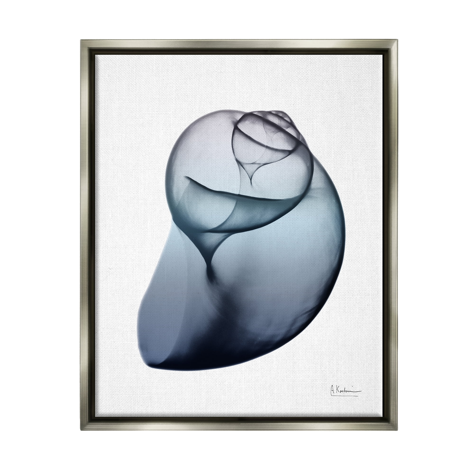 Stupell Industries Contemporary Snail Shell Abstract Photography Gray Floater Framed Art Print Wall Art, 17 x 21