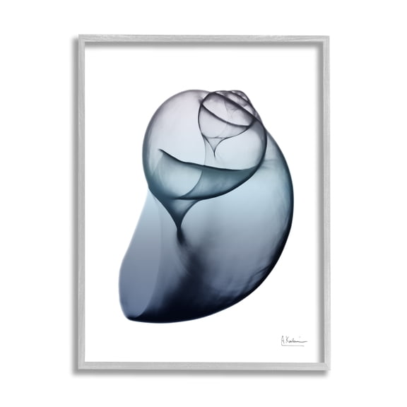 Stupell Industries Contemporary Snail Shell Abstract Photography Gray Framed Art Print Wall Art, 11 x 14