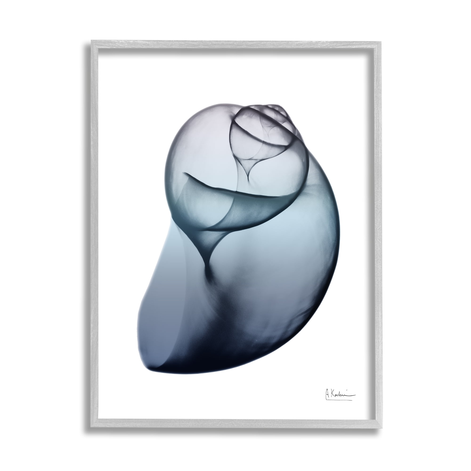 Stupell Industries Contemporary Snail Shell Abstract Photography Gray Framed Art Print Wall Art, 16 x 20