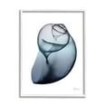 thumbnail image 1 of Stupell Industries Contemporary Snail Shell Abstract Photography White Framed Art Print Wall Art, 11 x 14, 1 of 9